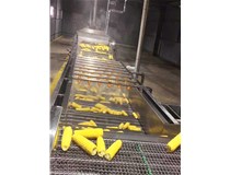 東北鮮玉米深加工生產線糯玉米殺青蒸煮機器